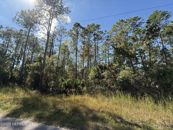 Property Photo:  0 County Rd 325  FL 32110