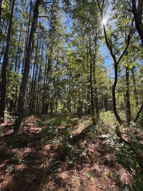 Property Photo: 0 Poplar Creek Drive Lot #30 SC 29047