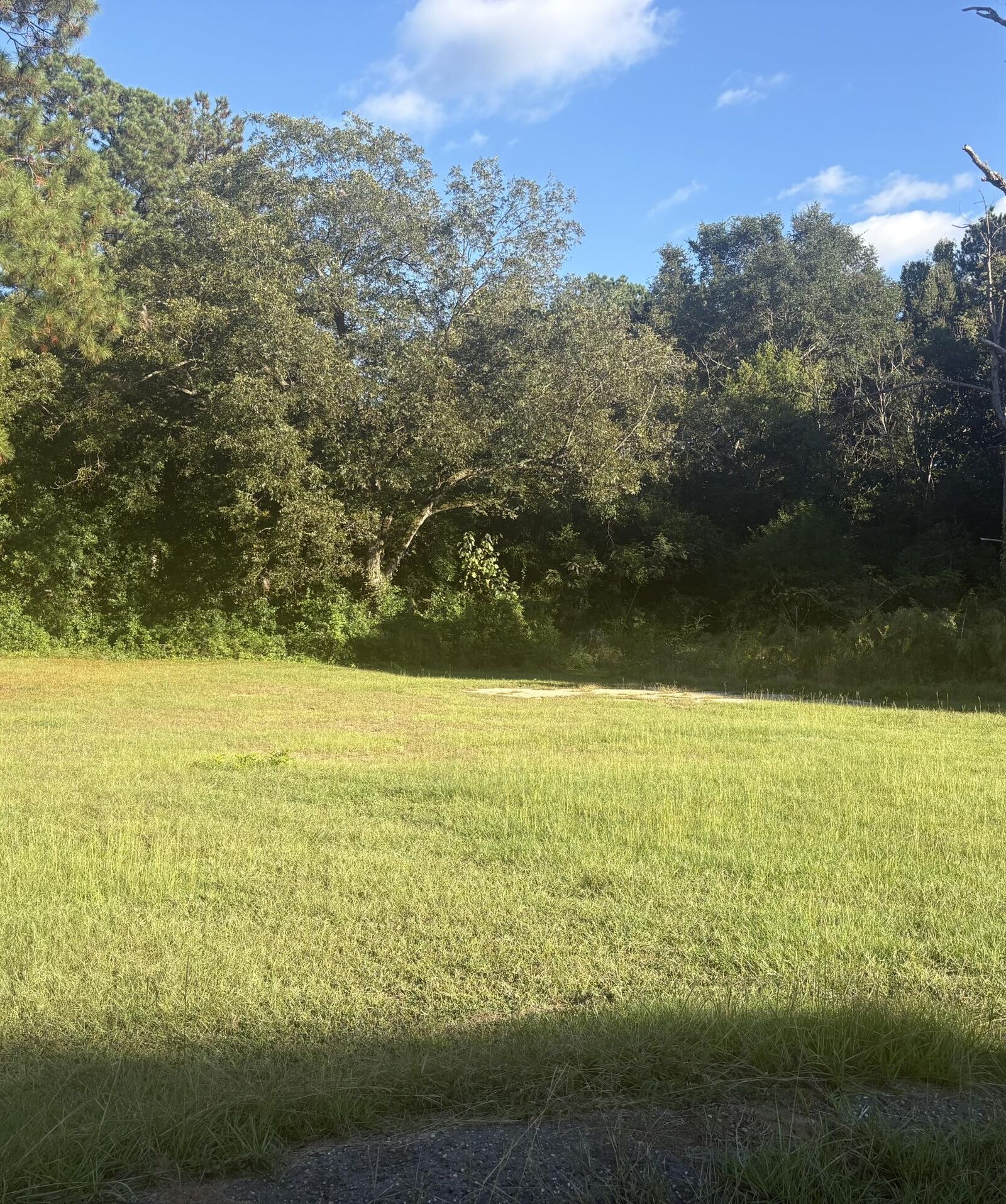 Property Photo: 779 March Street SC 29154
