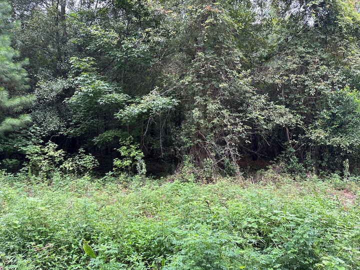 Property Photo: 200 Barkley Street SC 29048