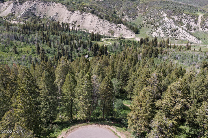 Property Photo:  398 Peregrine Drive  CO 81632