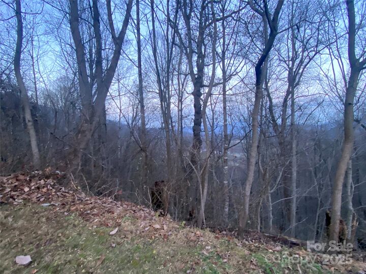Property Photo:  0 Asa Trail  NC 28785 
