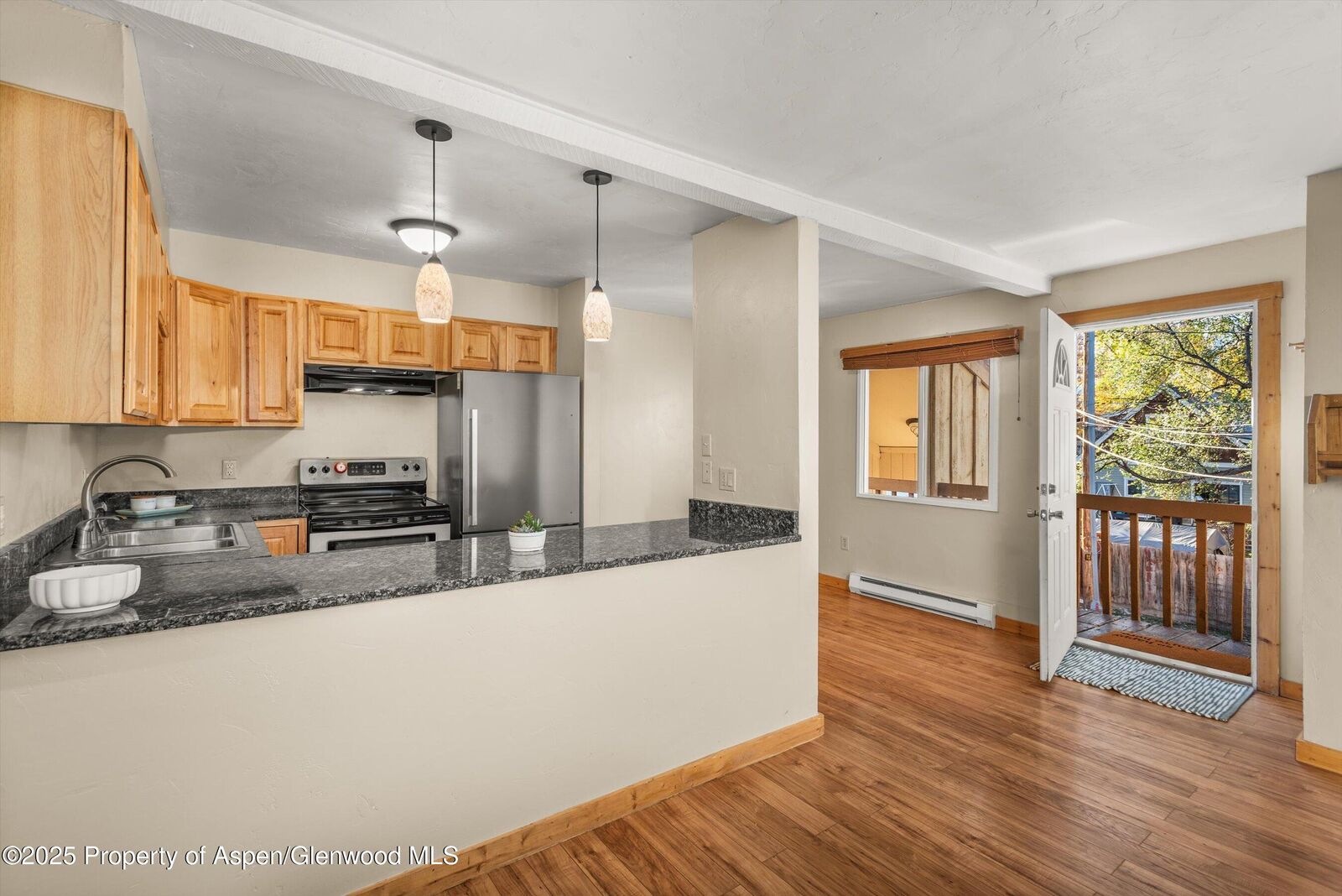 Property Photo:  718 Main Street  CO 81623