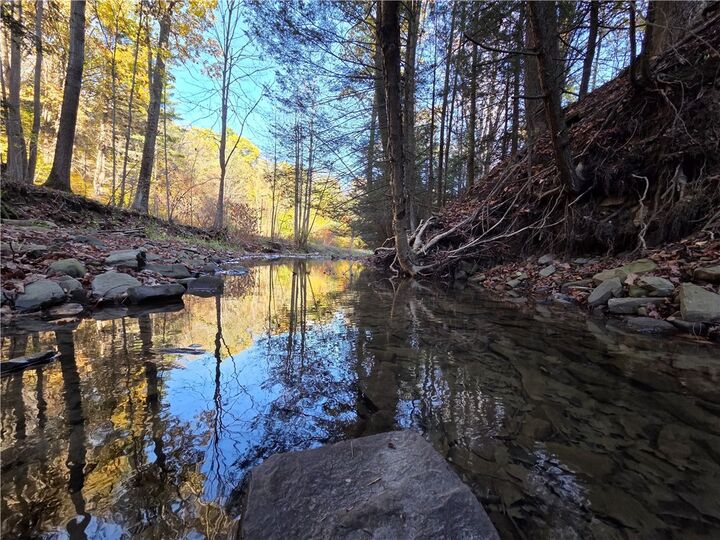 Property Photo:  147 Clark Hollow Road  NY 14871 