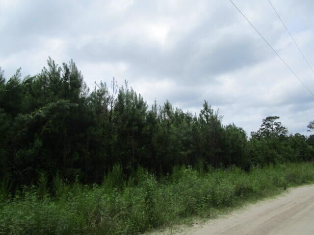 Property Photo: 7905 Morris Bing Road SC 29449