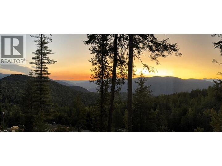 Richie Road  Rossland BC V0G 1Y0 photo