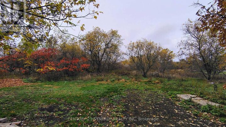 Photo de la propriété:  2772 8th Line Road  ON K0A 2P0