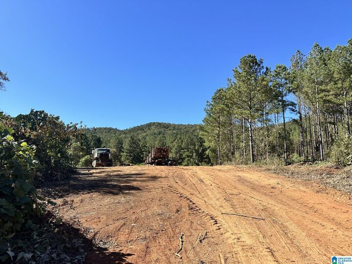 Property Photo:  0 Rabbittown Road 0  AL 36272