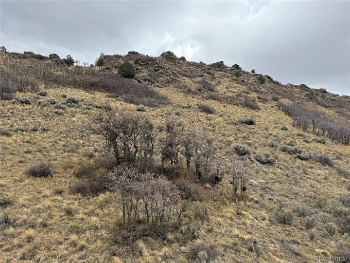 Property Photo:  133 Griffiths Dr  CO 81133 