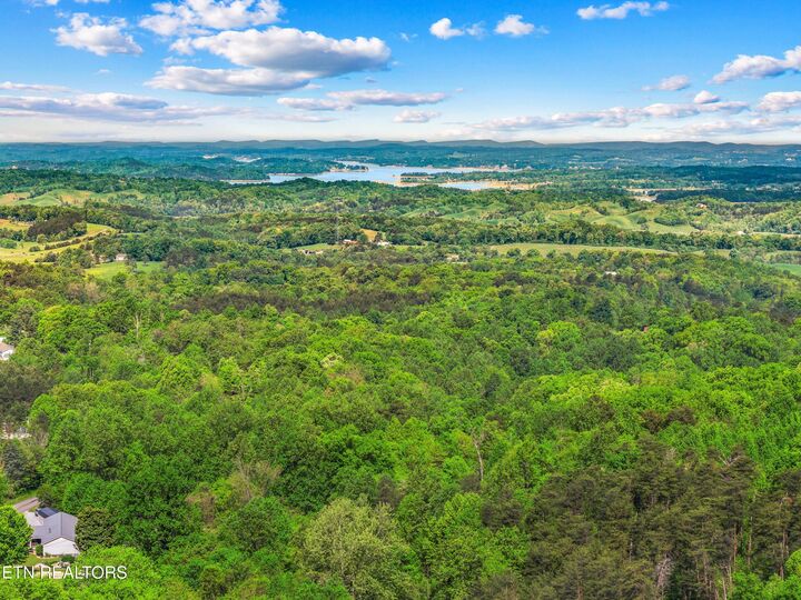 Property Photo:  County Line Rd  TN 37725 