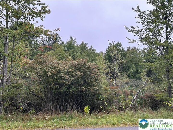 Property Photo: 1325 Glade Drive Lot 7143 PA 18334