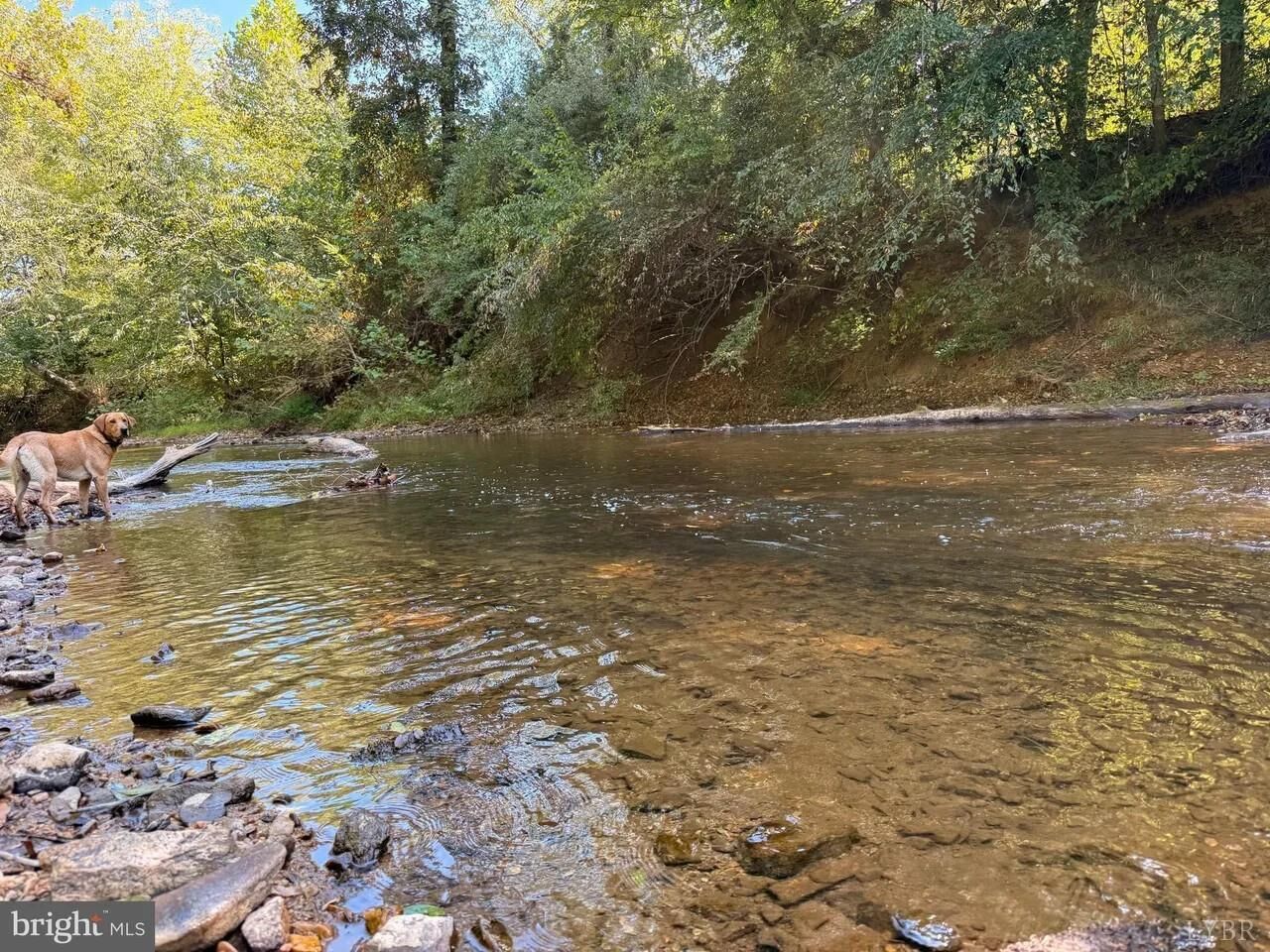 Property Photo:  0 Coleman Mountain Road  VA 24522