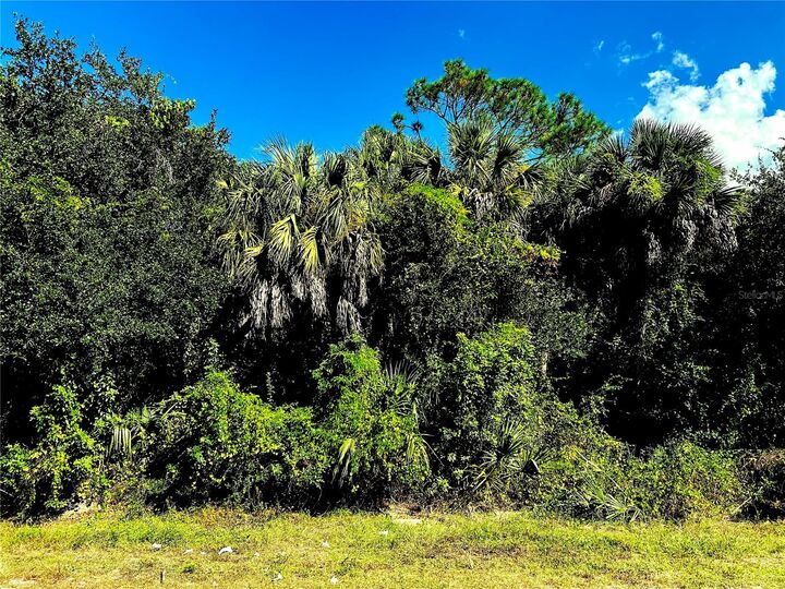 Property Photo: 1428 Kenesaw Street FL 33948