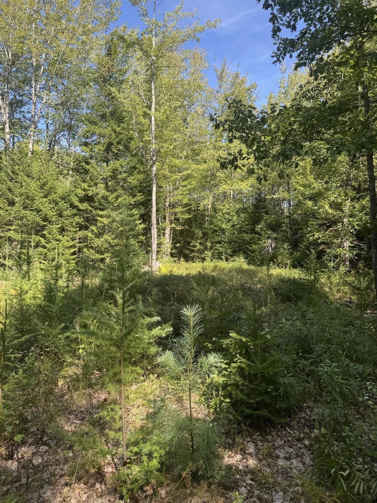 Property Photo:  1730 Main Street  ME 04643 