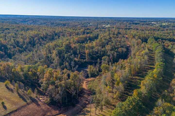 Property Photo: 975 Weakley Creek Road TN 38464