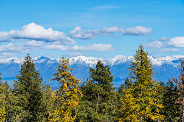 Property Photo:  1395 Deer Creek Haven  MT 59922 