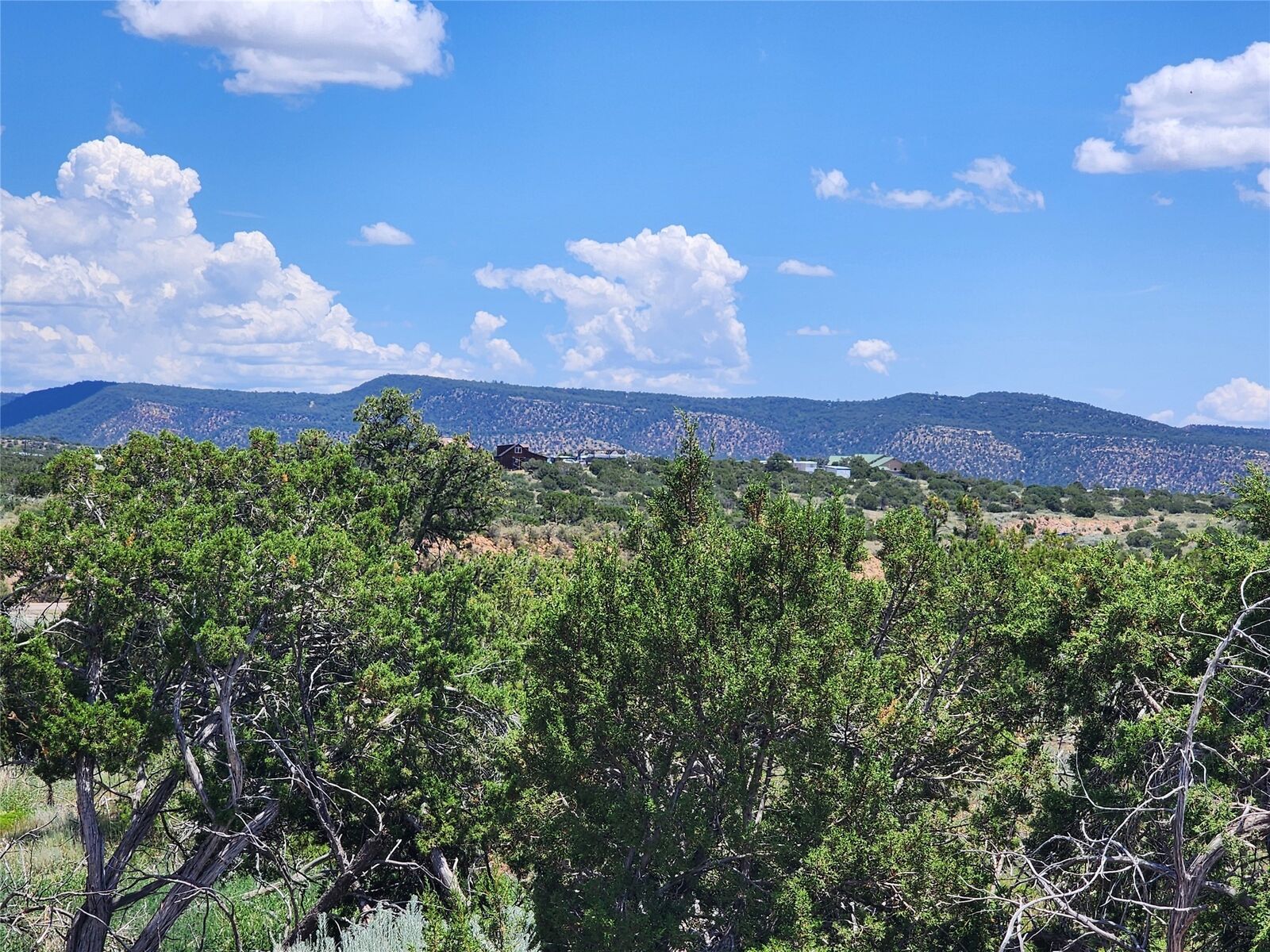 Property Photo: 12 Goathead Ct NM 87508