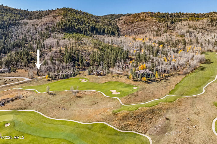 Property Photo:  121 Elk Spring Trail  CO 81632