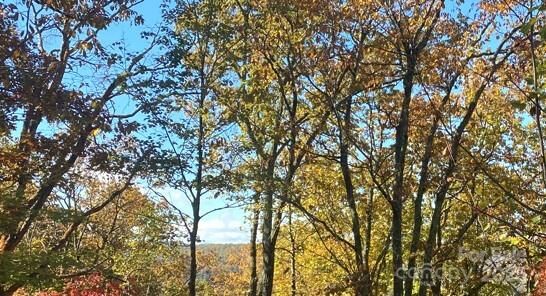 Property Photo: 296 Carriage Summitt Way NC 28791