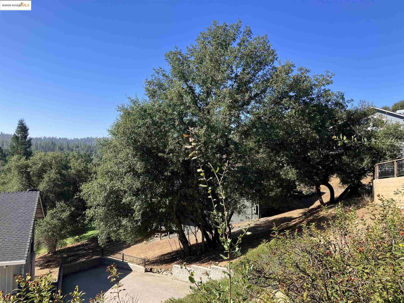 Property Photo:  U5lot8 Sean Patrick  CA 95321 