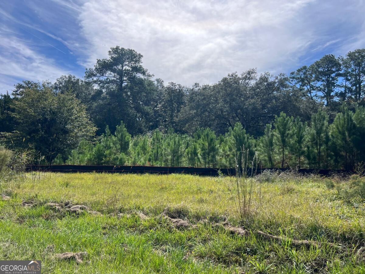 Property Photo:  116 Smith Road  GA 31522 