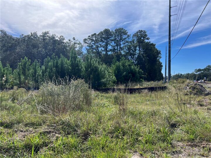 Property Photo:  116 Smith Road  GA 31522 