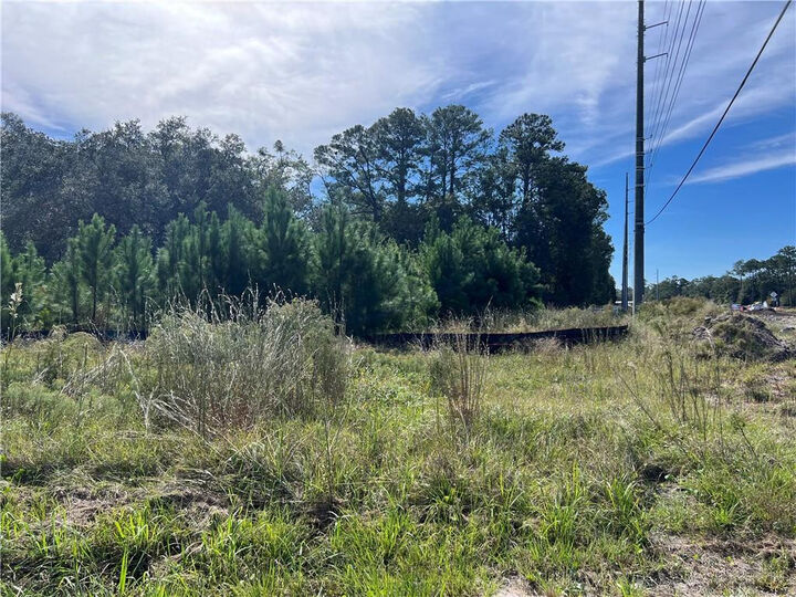 Property Photo:  116 Smith Road  GA 31522 