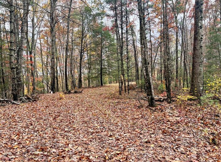 Property Photo:  700 Ellison School Road  WV 25820 