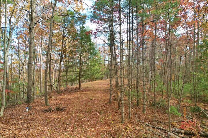 Property Photo:  700 Ellison School Road  WV 25820 