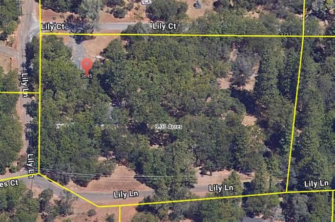 Property Photo:  3695 Lily Lane  CA 95682 