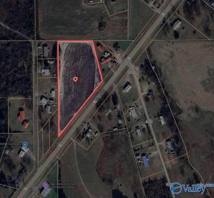 3 Acres Alabama Highway 75  Fyffe AL 35971 photo