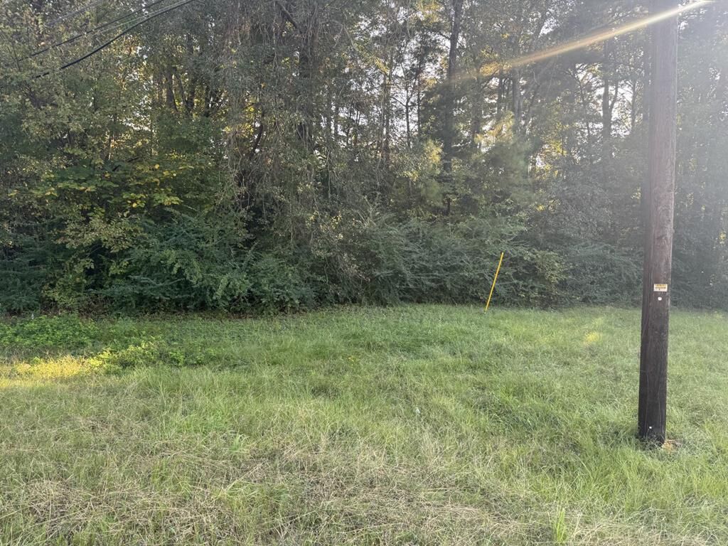 Property Photo: Tbd Old Tyler Road TX 75964