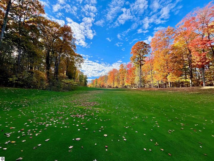 Property Photo: V/L 51 Troon South MI 49615