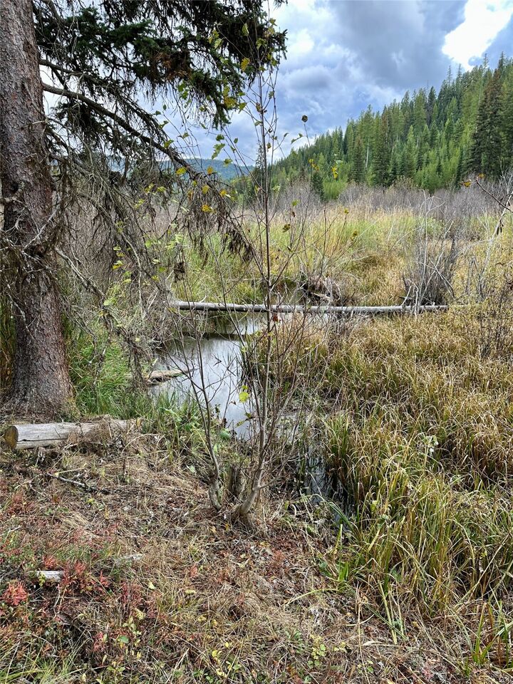 Property Photo:  Nhn Mill Creek Road  MT 59834