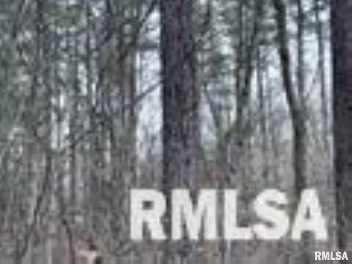 Property Photo:  449 Pine Lane  IL 62966