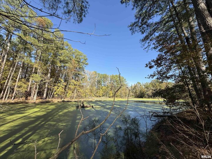 Property Photo:  449 Pine Lane  IL 62966 