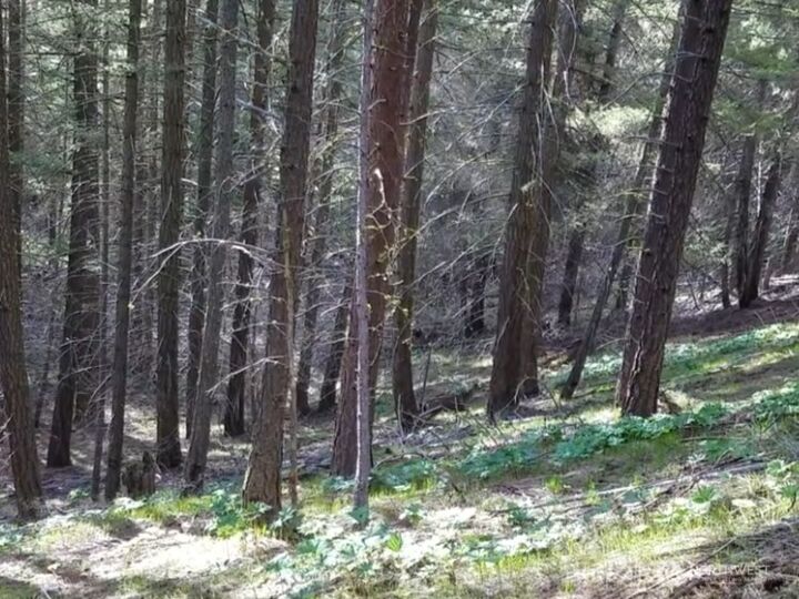 Property Photo:  599  Moonlight Lane  WA 99156