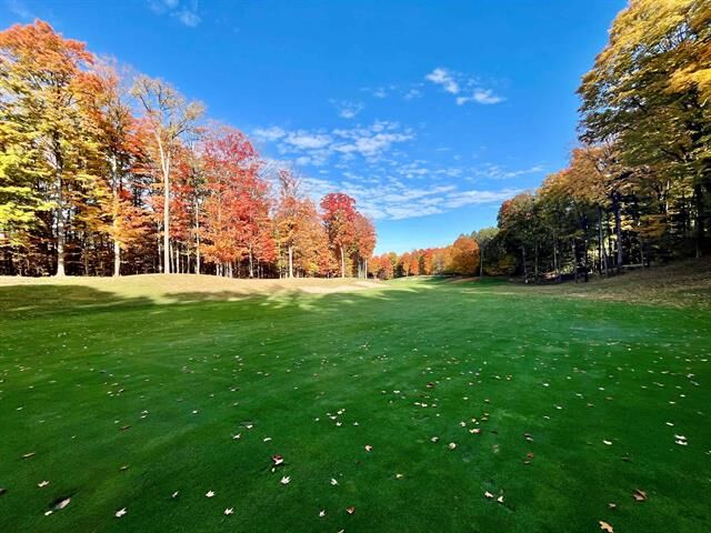 Property Photo:  V/L 51 Troon South  MI 49615