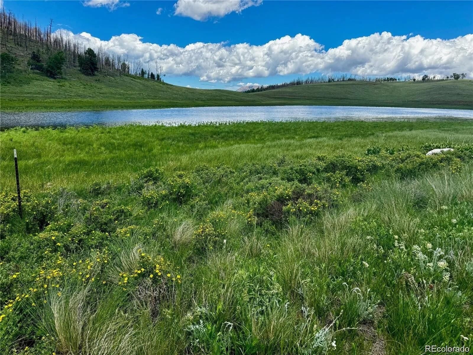 Property Photo:  2348 Benton Place  CO 81133 