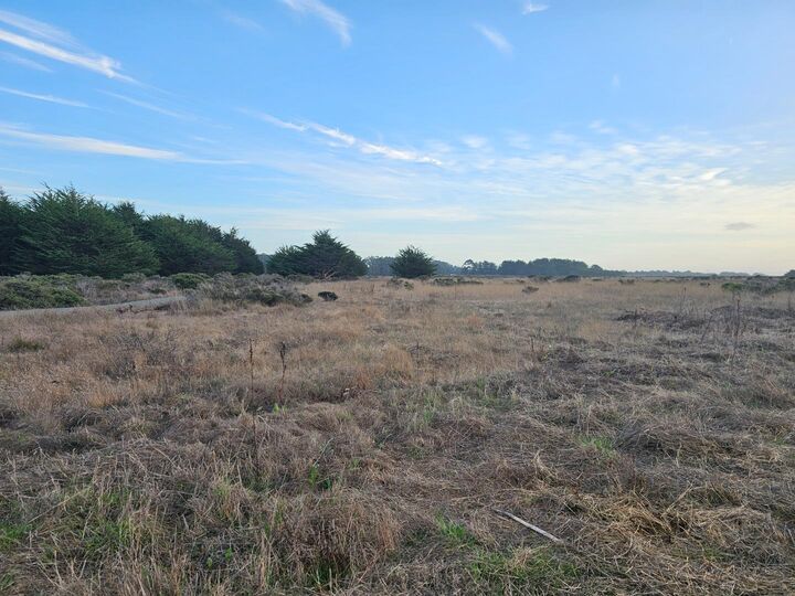 Property Photo:  00 Park Avenue  CA 94019