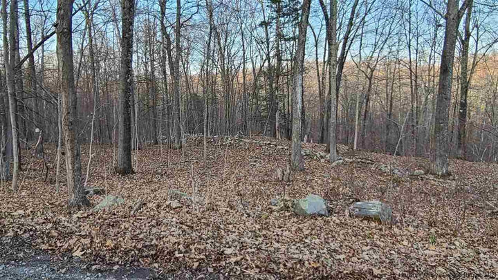 Property Photo: Tbd Hawleys Corners NY 12528