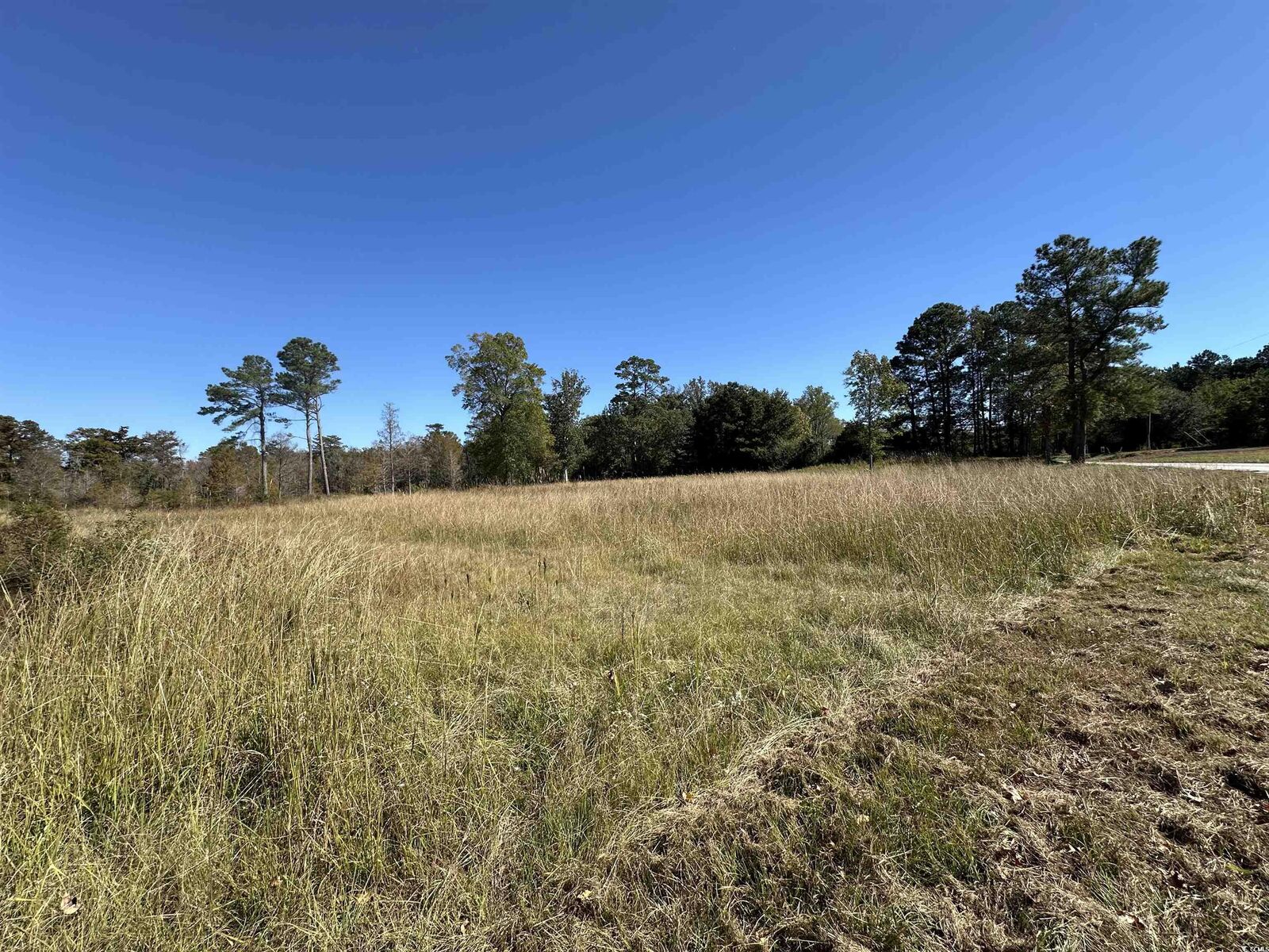 Property Photo: 1962 Highway 646 SC 29545