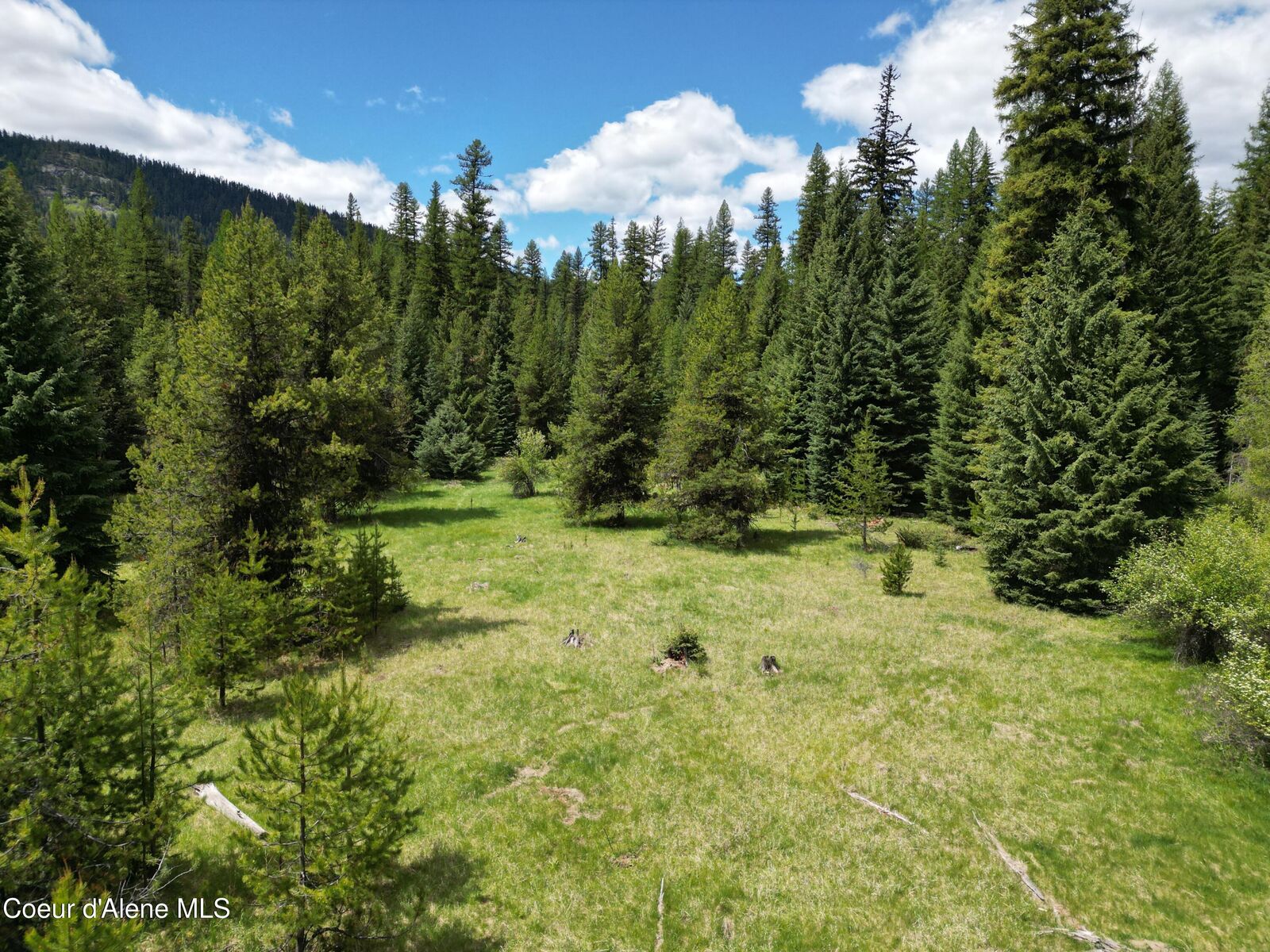 Property Photo: 574 Poco Lobo Rd MT 59935
