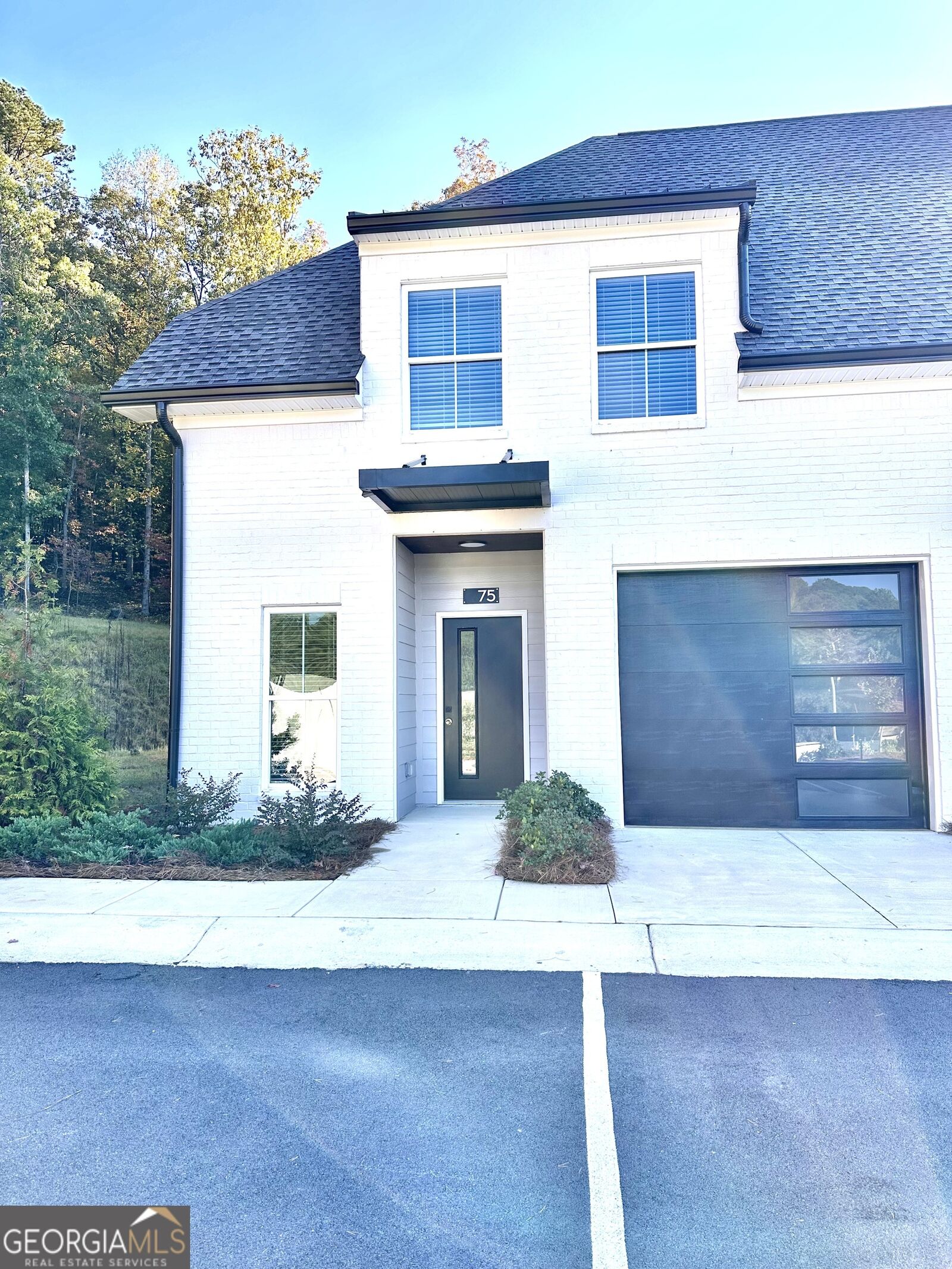 Property Photo:  75 Chateau Drive  GA 30161 