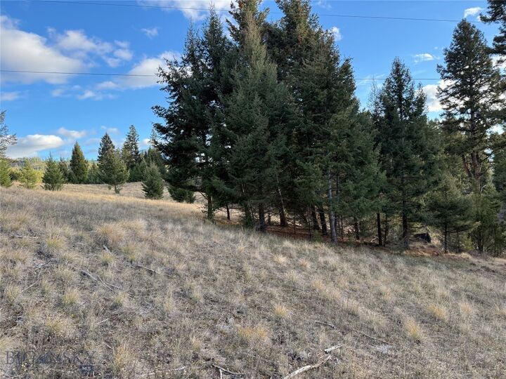 Property Photo:  Lot 3 Scranton Lode  MT 59858 