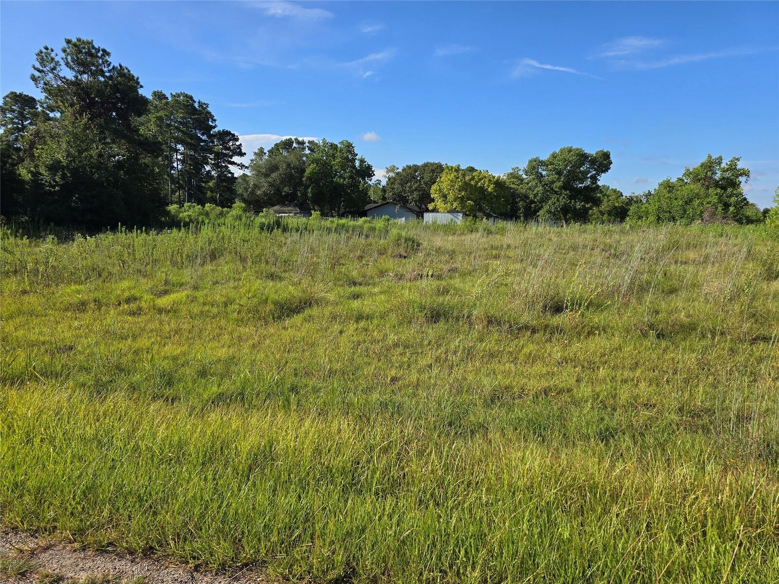 Property Photo:  Lot 9 Lewis Creek Circle  TX 77318 