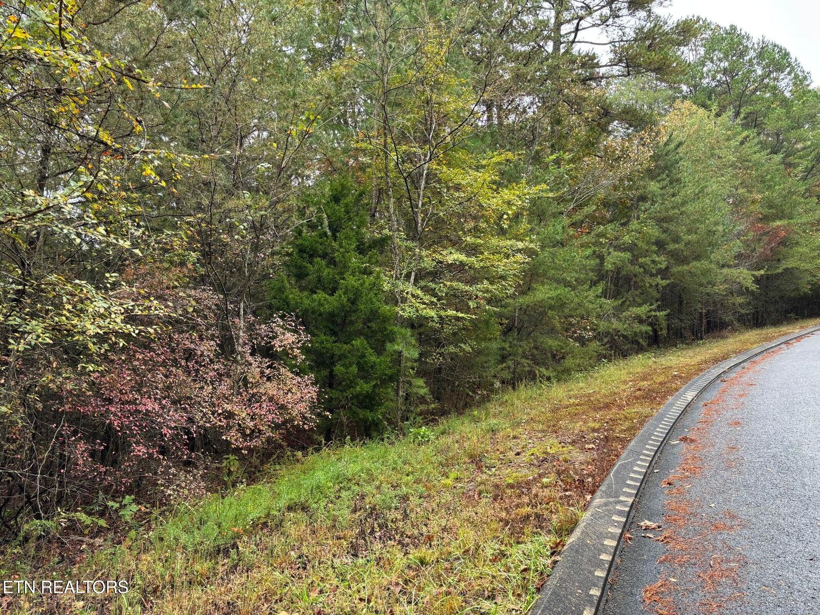 Property Photo: 3 Countryside Drive TN 37327