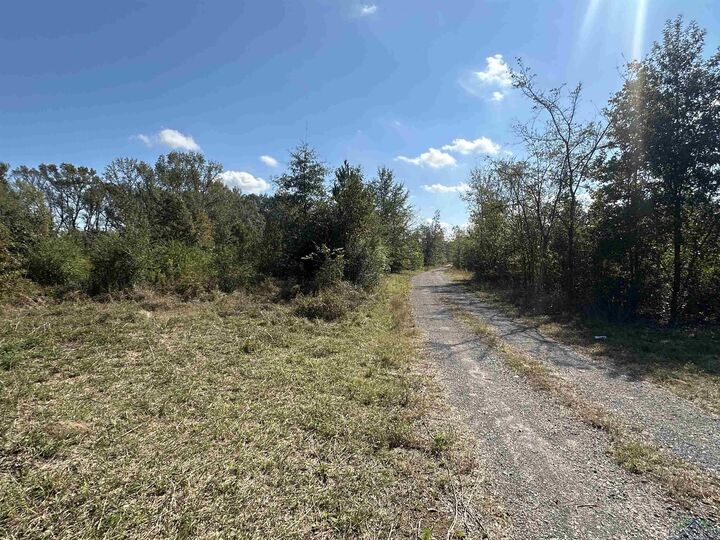 Property Photo:  Tbd Fm 124  TX 75631 