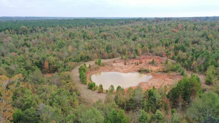Property Photo: 000 County Road 2367 Bethlehem Cemetery Rd. TX 75566