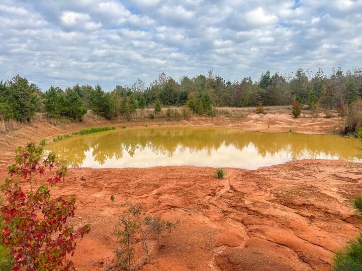 Property Photo:  000 County Road 2367 Bethlehem Cemetery Rd.  TX 75566 